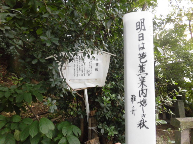 イメージ 4
