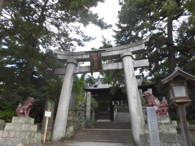 イメージ 6