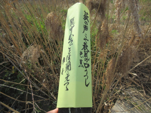イメージ 2