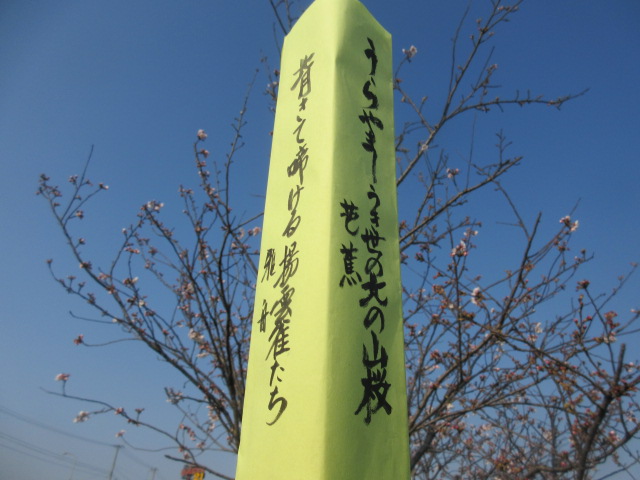イメージ 4