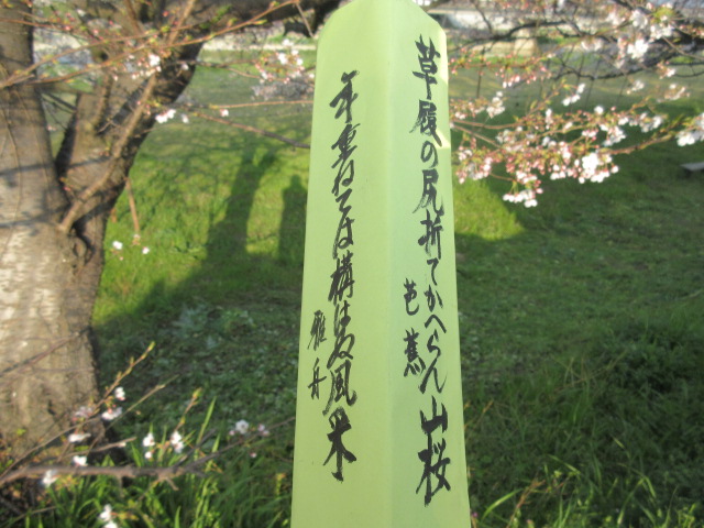イメージ 5