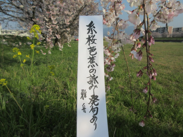 イメージ 6