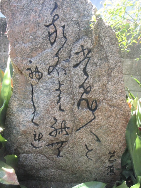 イメージ 4