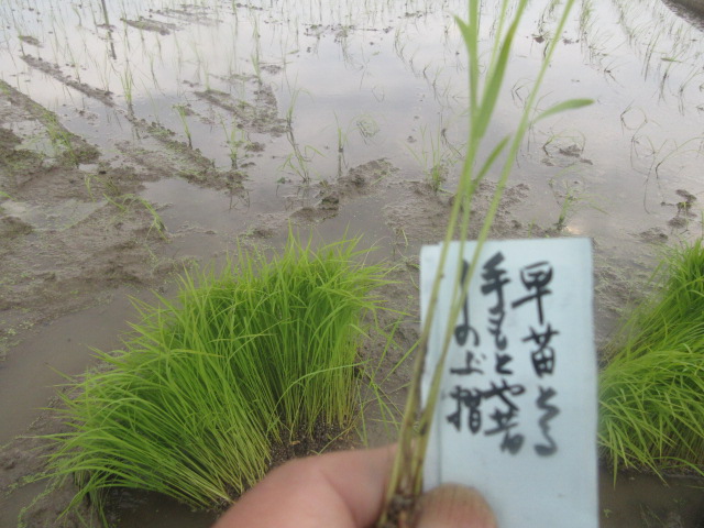 イメージ 2