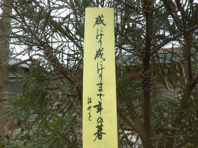 イメージ 2
