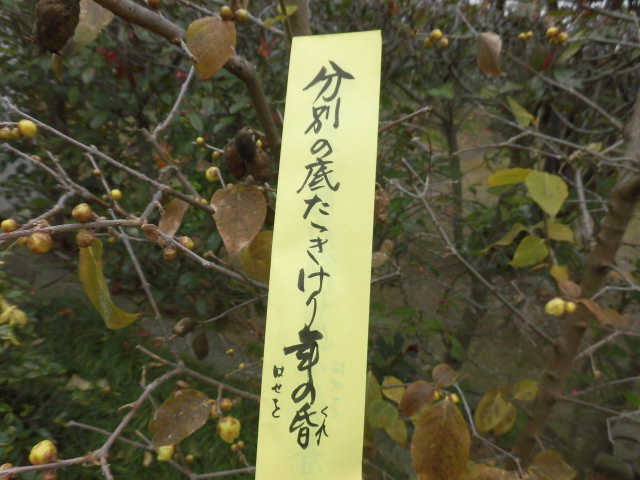 イメージ 4