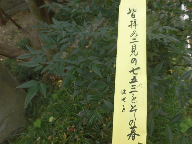 イメージ 5