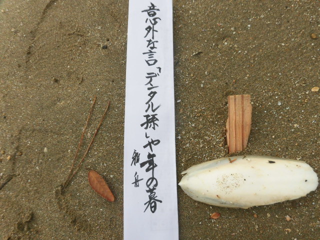 イメージ 4