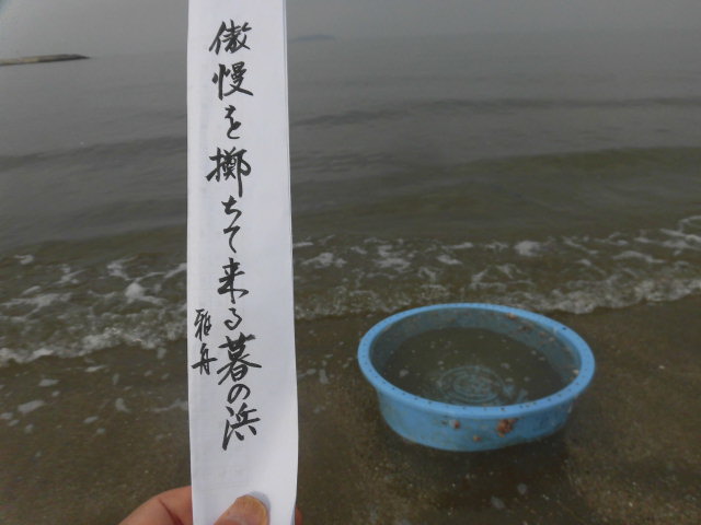 イメージ 5