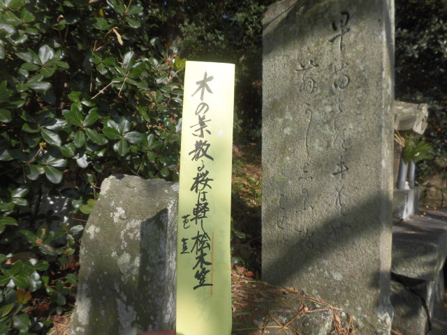 イメージ 3