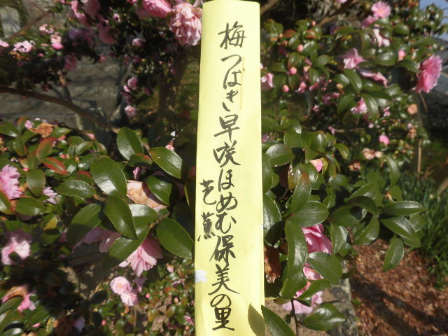 イメージ 4