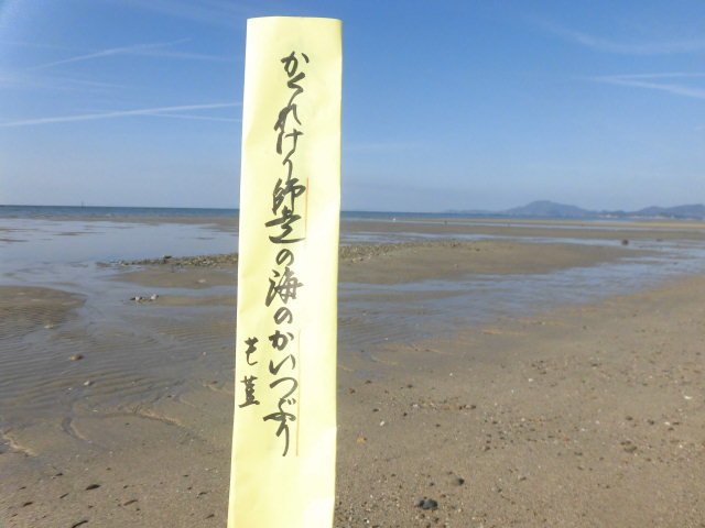 イメージ 6