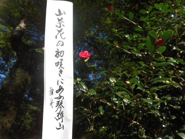 イメージ 3