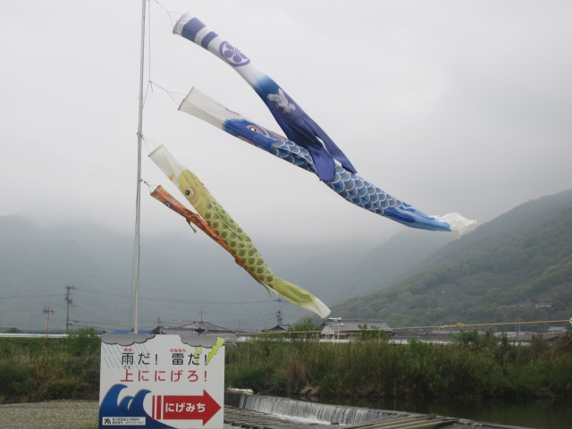 イメージ 3