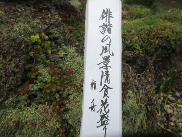 イメージ 5