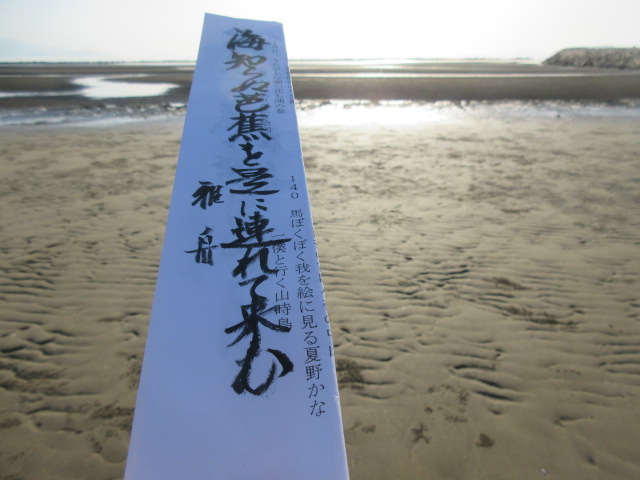 イメージ 9