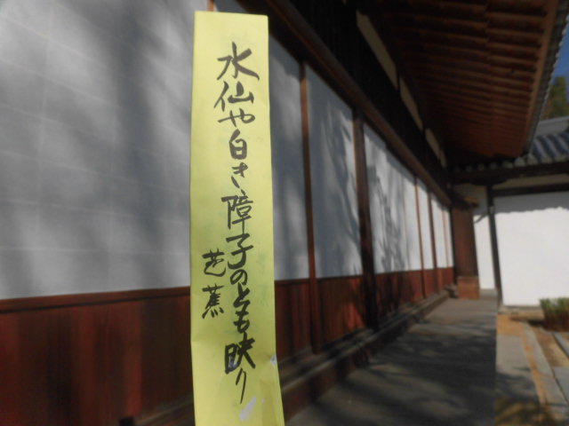 イメージ 5