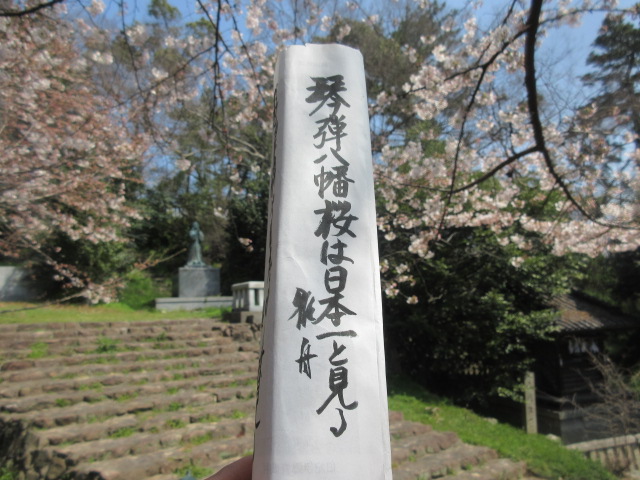 イメージ 5