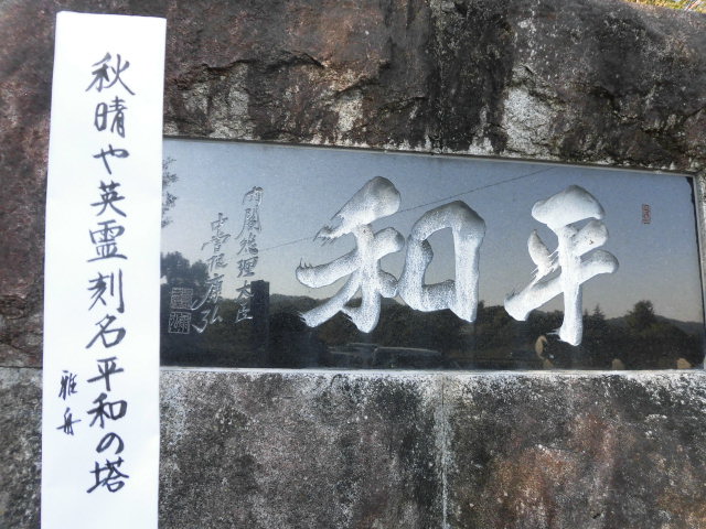 イメージ 5