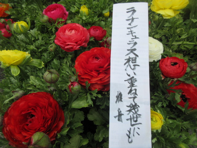 イメージ 4