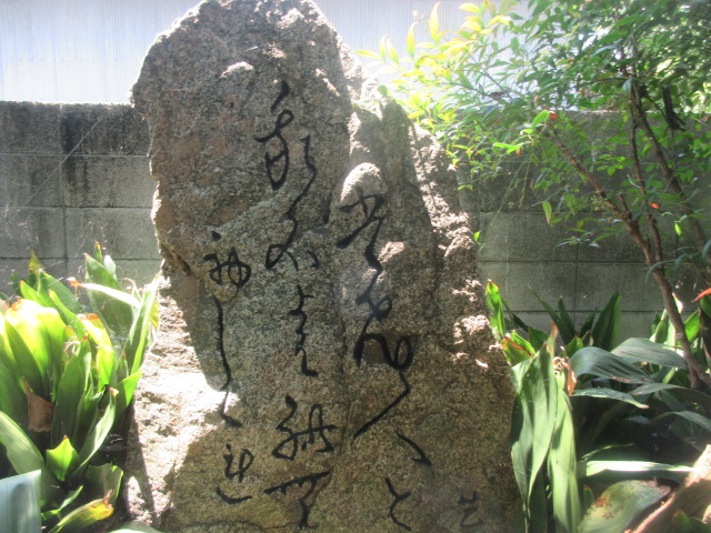 イメージ 3