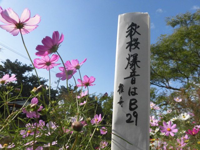イメージ 6