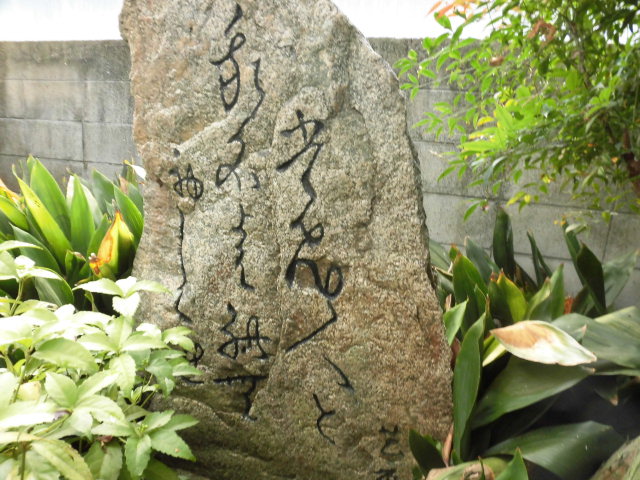 イメージ 5