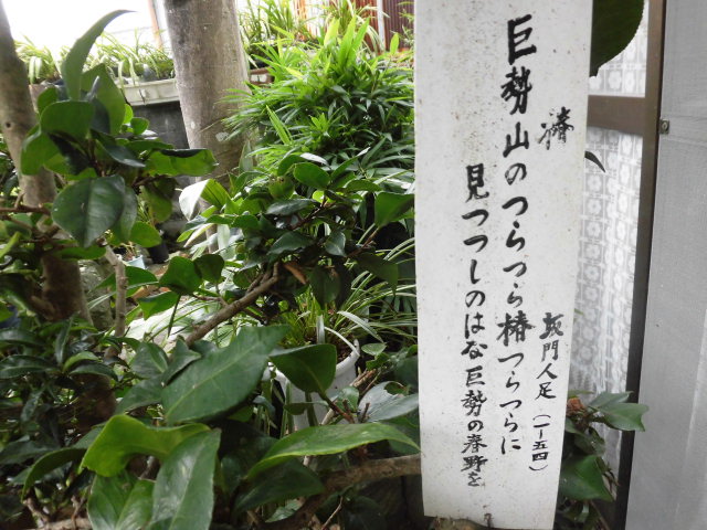 イメージ 7