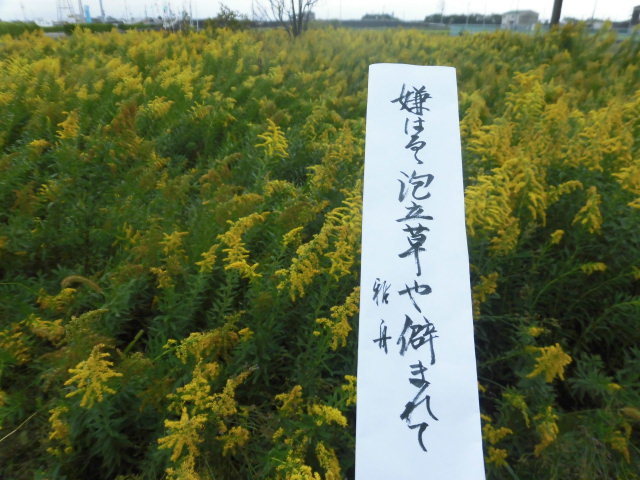 イメージ 4
