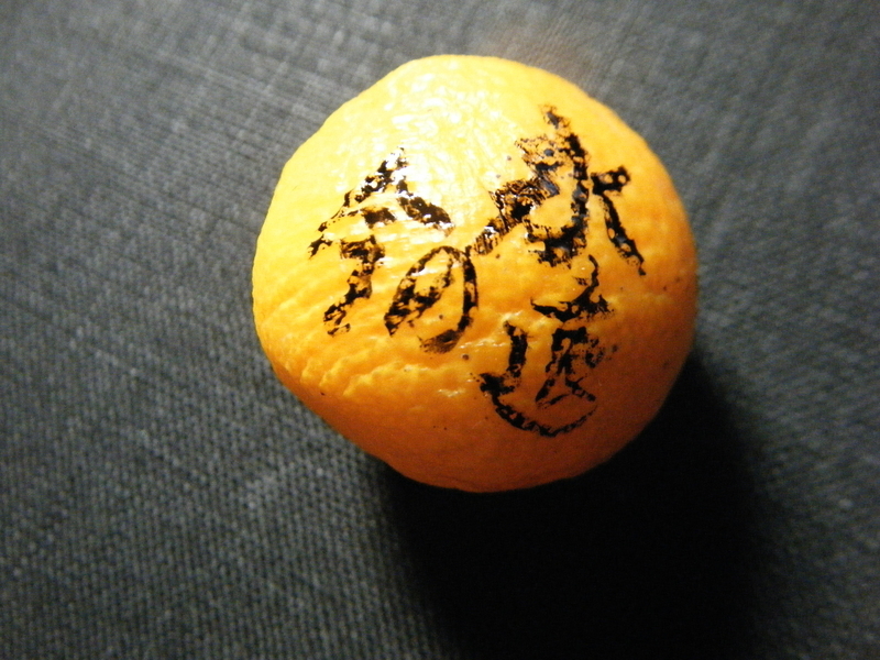 イメージ 5
