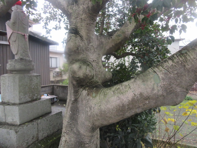 イメージ 6