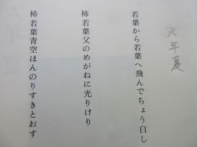 イメージ 4