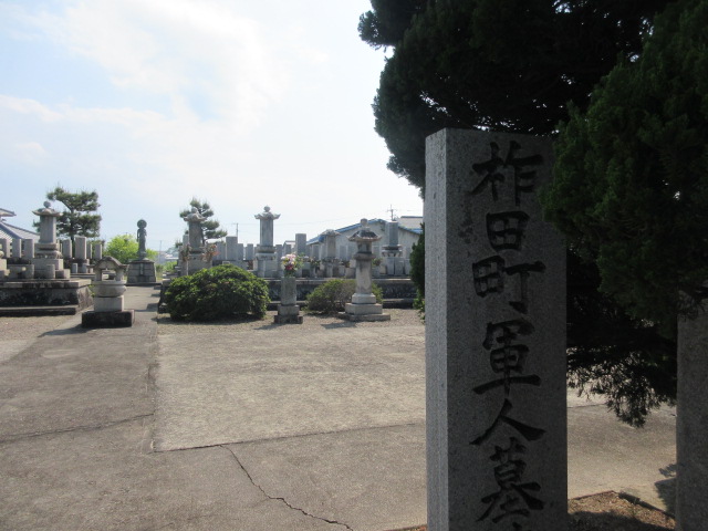 イメージ 3