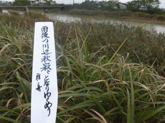 イメージ 5