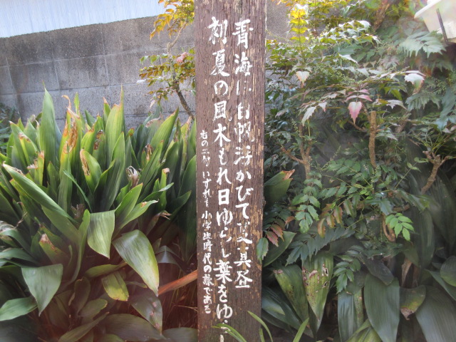 イメージ 5