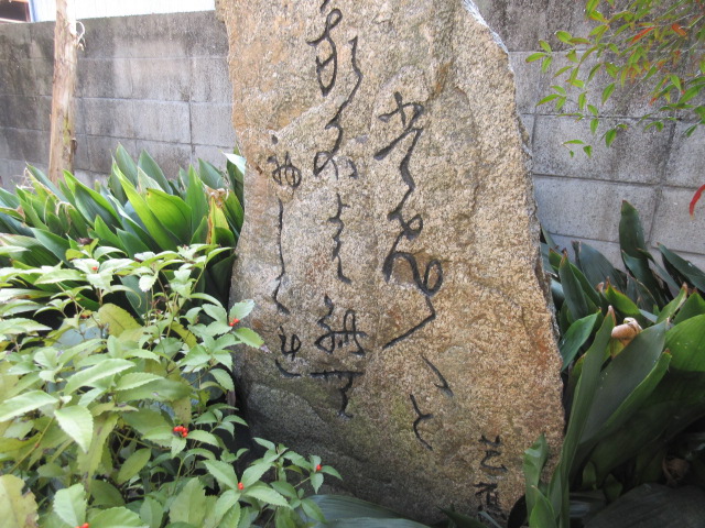 イメージ 6