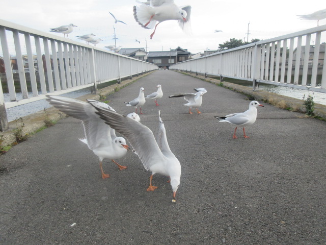 イメージ 4