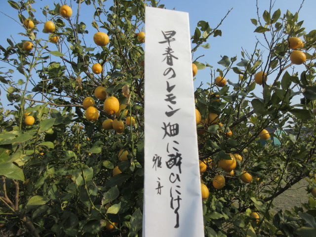 イメージ 4