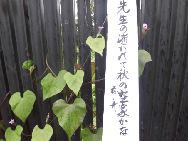 イメージ 5
