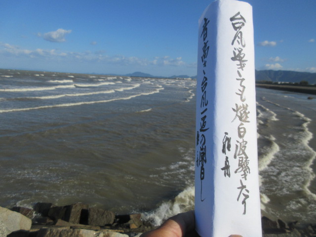 イメージ 6