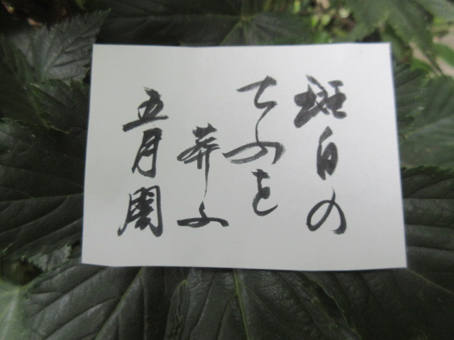 イメージ 1