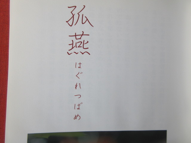 イメージ 4