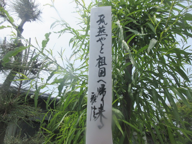 イメージ 2