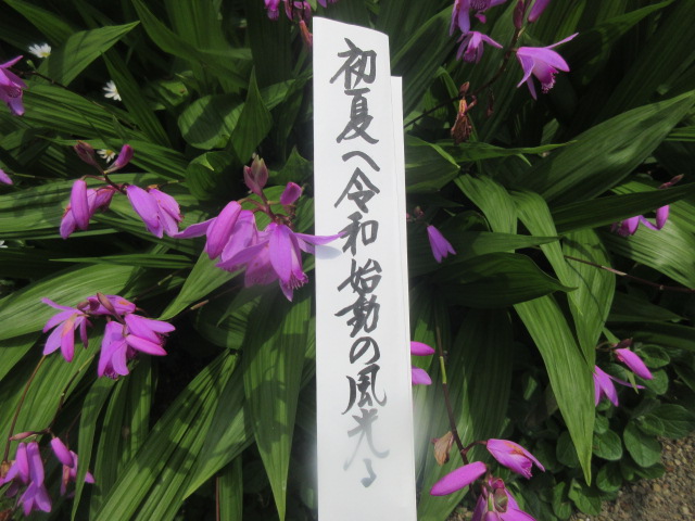 イメージ 3