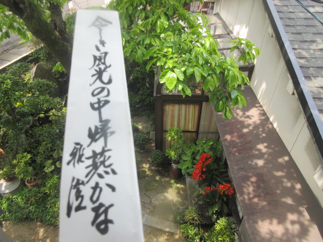イメージ 6
