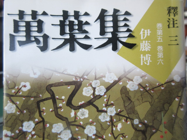 イメージ 6