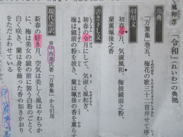 イメージ 7
