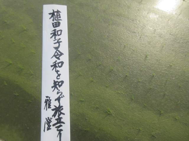 イメージ 1