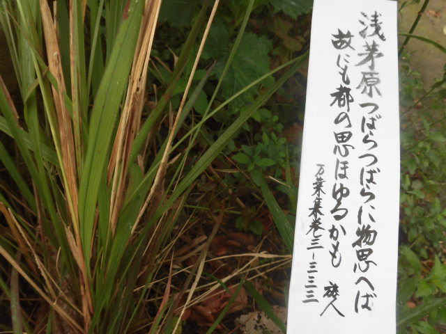 イメージ 7