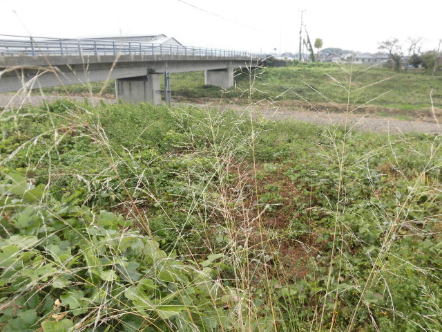 イメージ 5